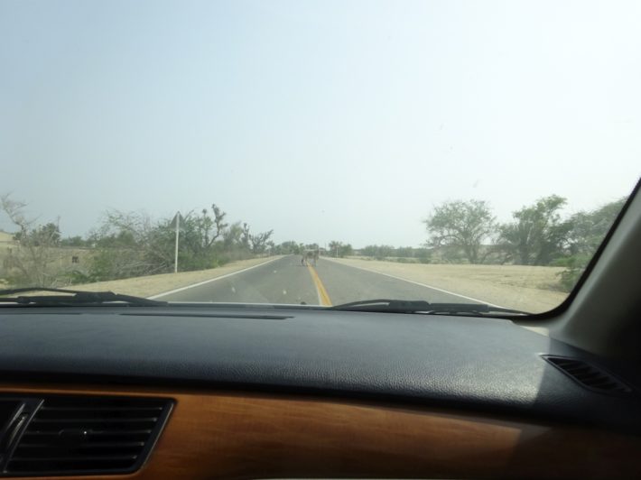 Qeshm 4
